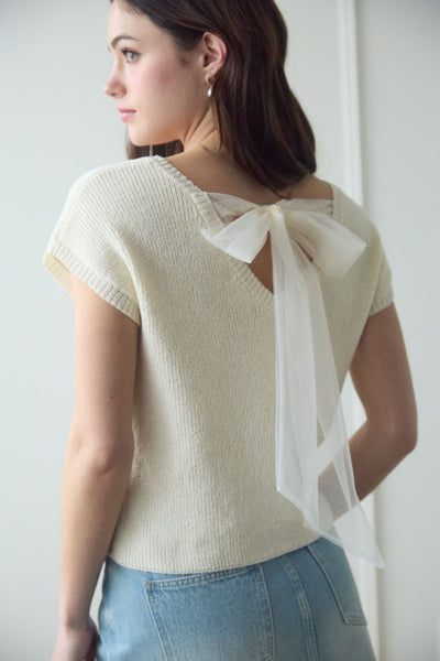 Delicate Design Top
