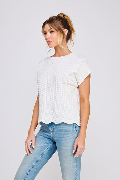 Conch Shell Top