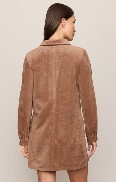 Z Supply Connie Mini Dress