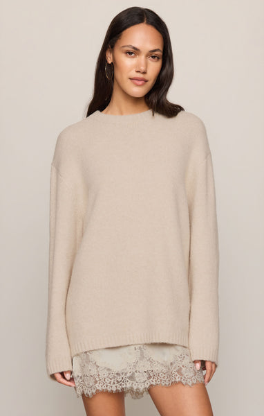 Z Supply Meadow Muse Lace Mini Dress