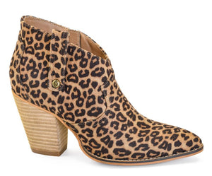 Corkys Bar Hoppin-Leopard