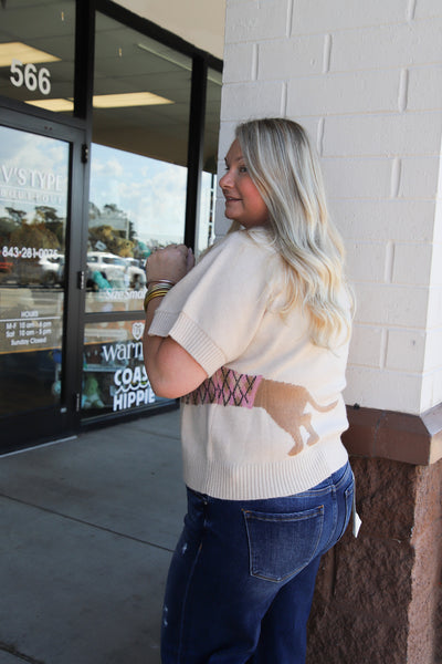 Walleys Sweater Top