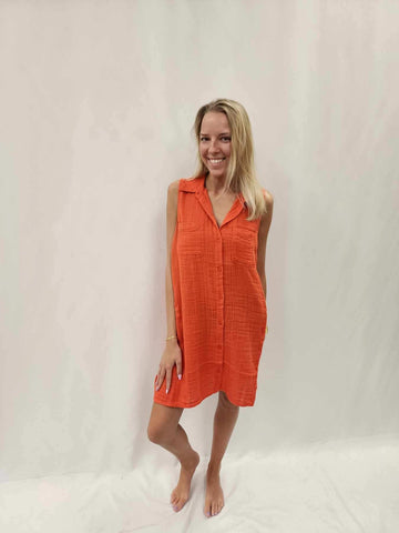 Z Supply Light Mini Dress
