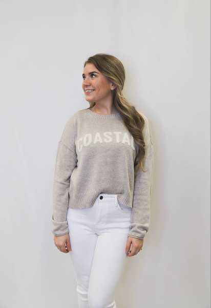 Z Supply Sienna Coastal Sweater