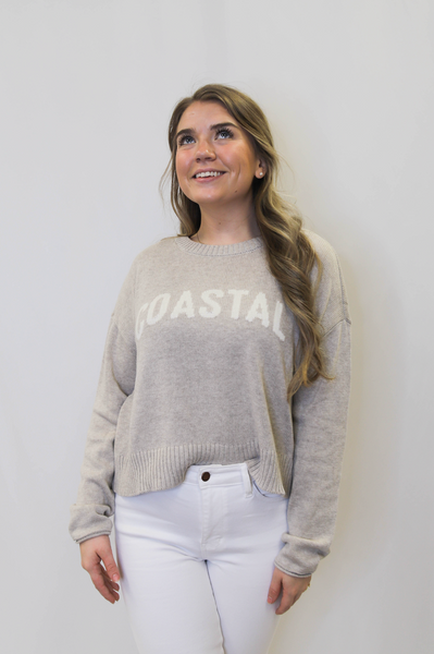 Z Supply Sienna Coastal Sweater